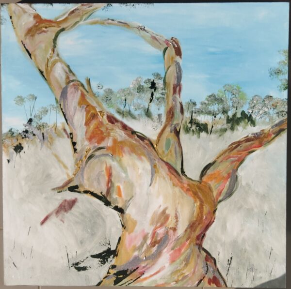 Snow Gum Landscape,  76x76cms,  acrylic on canvas.