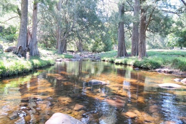 Broughton Creek