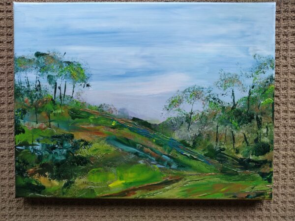 Foxground Hills, acrylic on canvas 30x0cms.