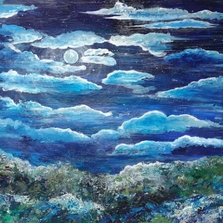 Starry Night, Foxground. oil on canvas.Framed in Tasmanian Oak.80x105cms.