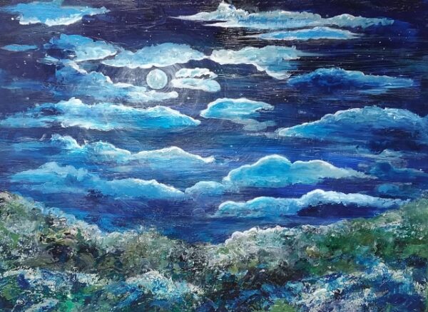 Starry Night, Foxground. oil on canvas.Framed in Tasmanian Oak.80x105cms.